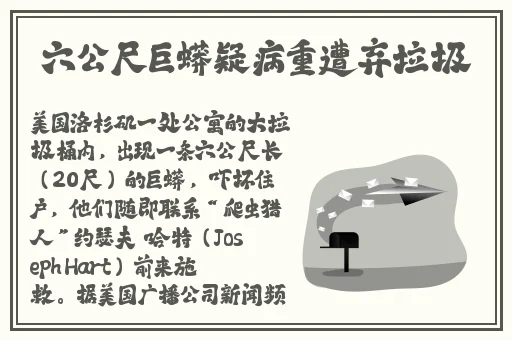 国内精品伊人久久影院